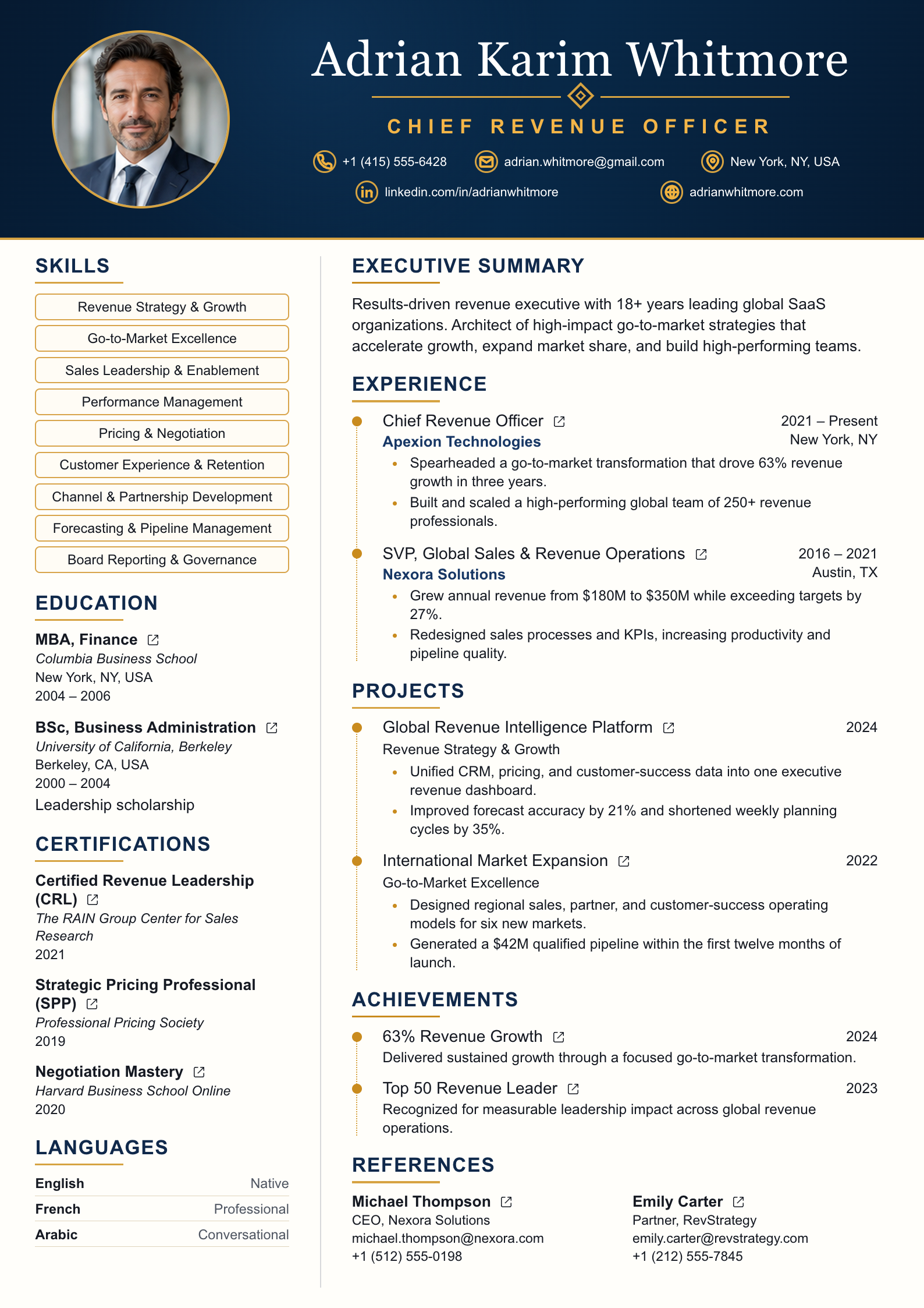 Executive Revenue Leader CV template preview